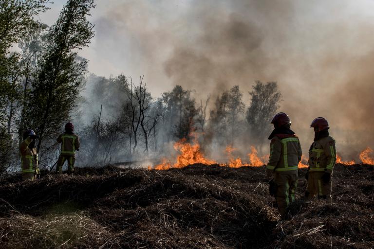 Brandweermensen in brandend natuurgebied